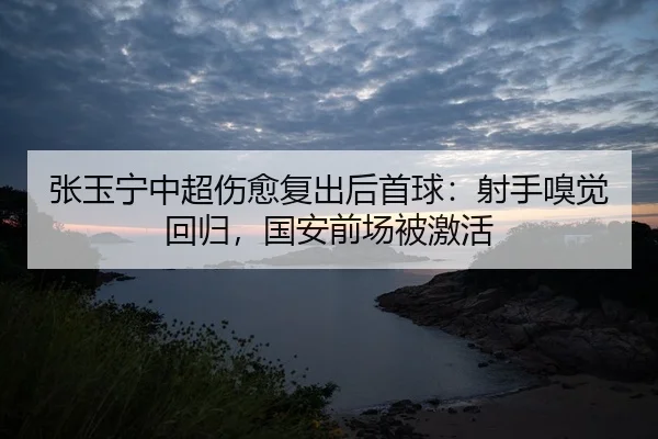 张玉宁中超伤愈复出后首球：射手嗅觉回归，国安前场被激活