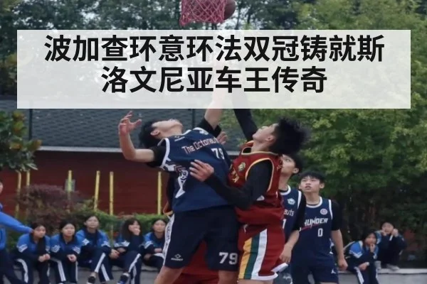 波加查环意环法双冠铸就斯洛文尼亚车王传奇